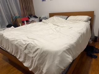 (Category: ) located in . Submitted by sgalice (Listing ID 1469689847, Image 1). Description: .