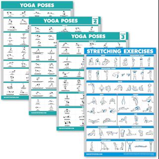 Palace Learning 4 Pack: Yoga Poses Posters Volume 1, 2 & 3 + Stretching ...