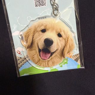 （分類：）位於 。 由 yen0807 提交（商品編號 1469647666，圖片 1）。簡介： 。