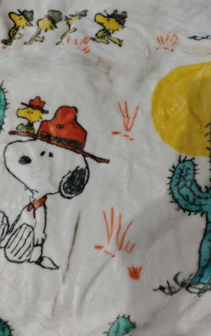 Snoopy cactus Fur Fleece Blanket - Single (Category: Bedding & Towels) located in Mariveles. Submitted by hl.reyrfinds (Listing ID 1469696962, Image 2). Description: 🍀☘️🍀☘️🍀 Fur Fleece Blanket Soft Midweight, Glossy ‼️Stain Pay First. MOD: JnT.