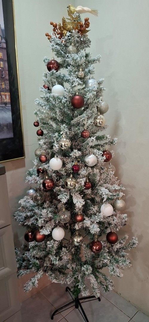 Snow Christmas tree 5ft Arrange own pick up (Category: Artificial Plants & Flowers) located in Paranaque City. Submitted by finders_thriftersph (Listing ID 1469573339, Image 1). Description: - Price is fixed - Arrange your own pick up.