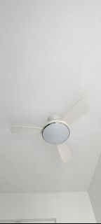 (Category: ) located in . Submitted by leediy (Listing ID 1469642865, Image 1). Description: .