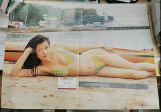 （分類：）位於 。 由 sunchaubookshop 提交（商品編號 1469824896，圖片 1）。簡介： 。
