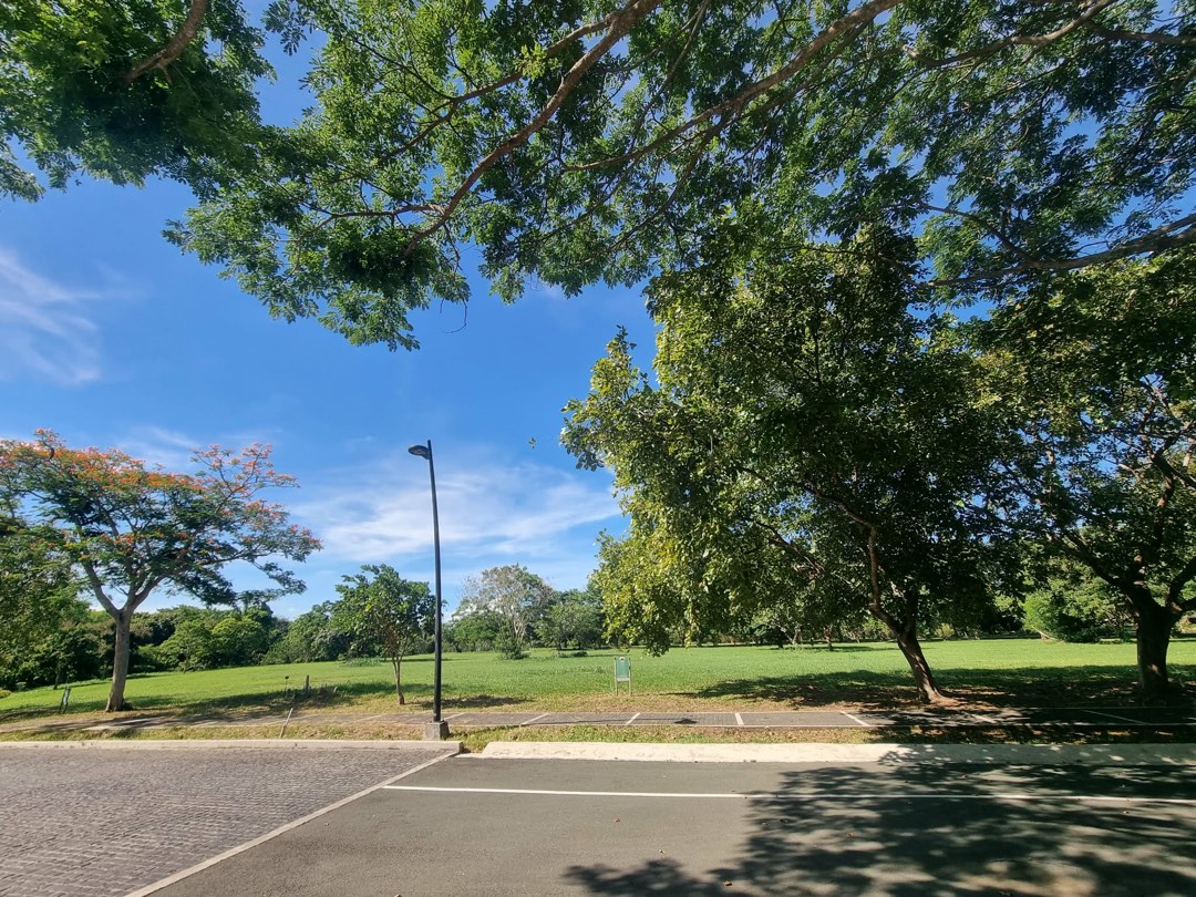 (Category: ) located in . Submitted by alyaranon (Listing ID 1469905200, Image 1). Description: .