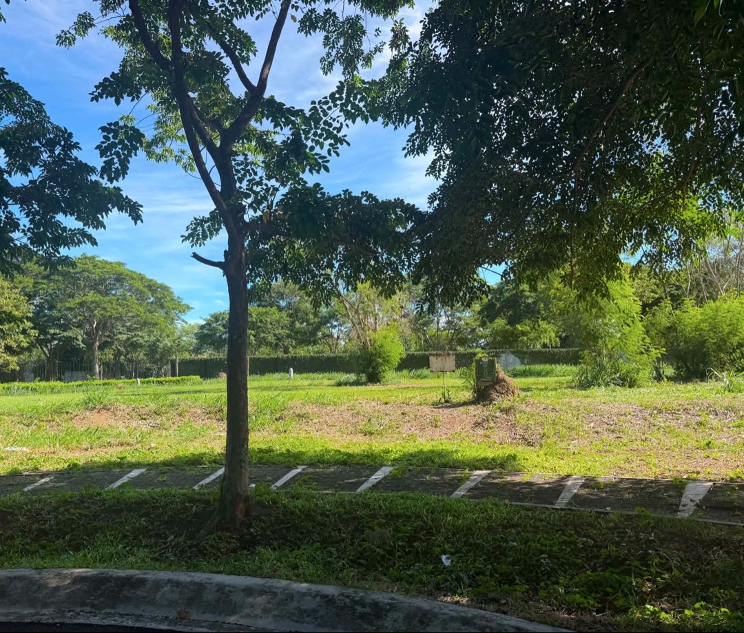 (Category: ) located in . Submitted by alyaranon (Listing ID 1469906775, Image 1). Description: .