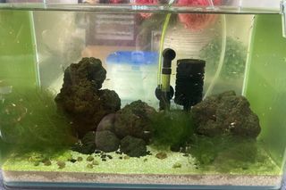 (Category: ) located in . Submitted by dreadwingg (Listing ID 1469868076, Image 1). Description: .