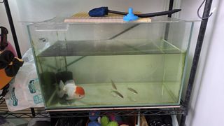 (Category: ) located in . Submitted by bobbylim69 (Listing ID 1469793692, Image 1). Description: .