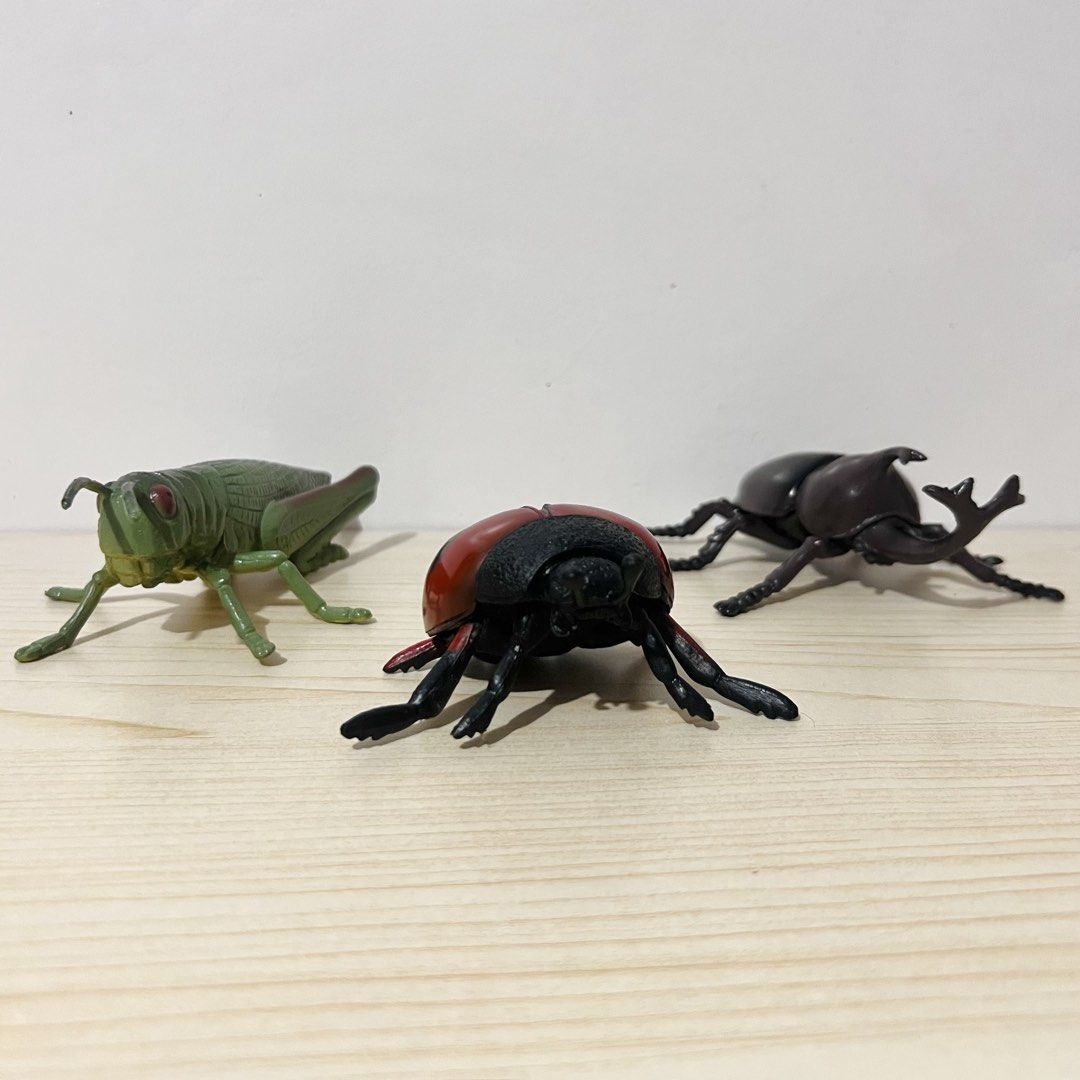 Grasshopper Bettle, and Ladybug, Plastic Insect Toys 8-12cm - Php 175 each (Category: Character Goods) located in Davao. Submitted by pandorastoybox (Listing ID 1469924838, Image 1). Description: Grasshopper Bettle, and Ladybug, Plastic Insect Toys 8-12cm - Php 175 each.