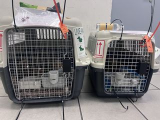 （分類：）位於 。 由 carolida 提交（商品編號 1469906395，圖片 1）。簡介： 。