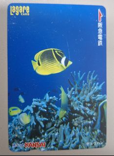 （分類：）位於 。 由 disneyjpass 提交（商品編號 1469869880，圖片 1）。簡介： 。