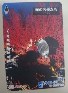 （分類：）位於 。 由 disneyjpass 提交（商品編號 1469869970，圖片 1）。簡介： 。