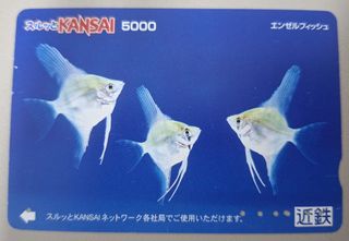 （分類：）位於 。 由 disneyjpass 提交（商品編號 1469877834，圖片 1）。簡介： 。