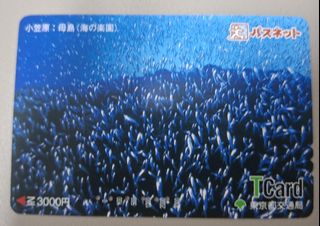 （分類：）位於 。 由 disneyjpass 提交（商品編號 1469878035，圖片 1）。簡介： 。