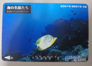 （分類：）位於 。 由 disneyjpass 提交（商品編號 1469878121，圖片 1）。簡介： 。
