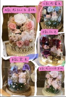 （分類：）位於 。 由 12thera__florist 提交（商品編號 1469897949，圖片 1）。簡介： 。