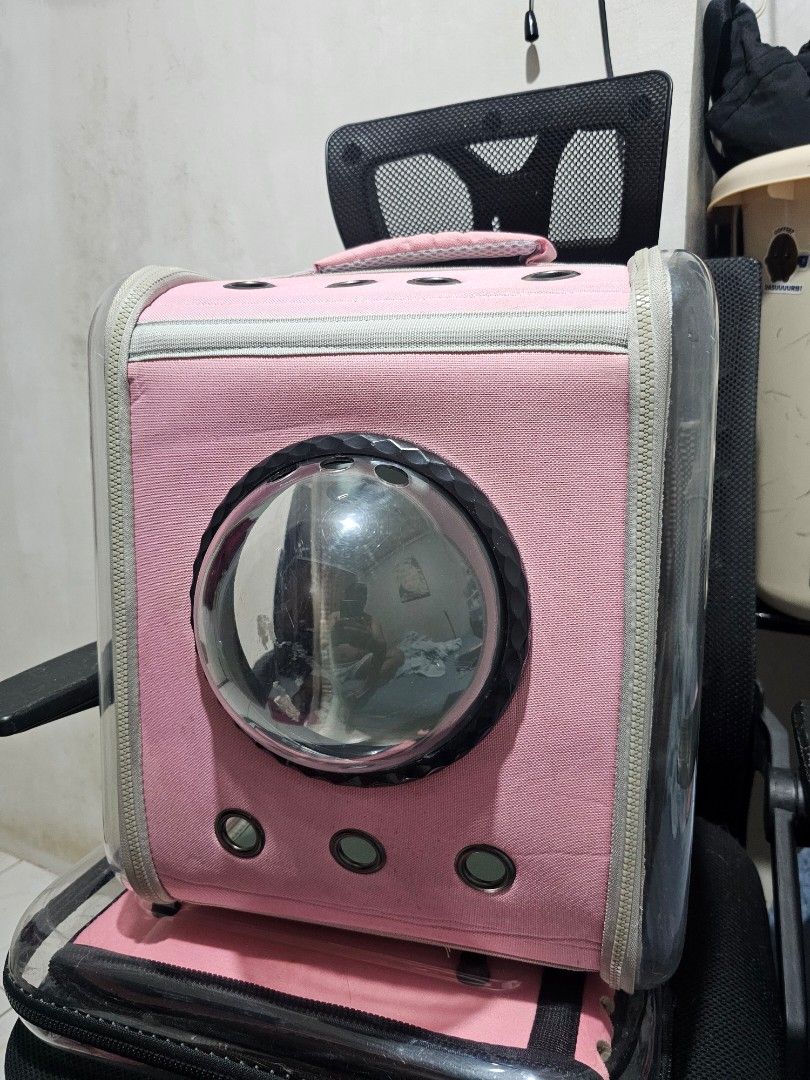 Pink Bubble Window Cat Backpack Carrier (Category: Homes & Other Pet Accessories) located in Cainta. Submitted by ej_emuslan (Listing ID 1469790002, Image 1). Description: - Color/Design: Pink with grey trim and a trendy clear front bubble window - Perfect For: Small cats and dogs - Ventilation: Multiple holes to keep your pet cool and comfortable - Closure: Secure edge-to-edge zippers - Portability: Sturdy top handle for easy carrying.