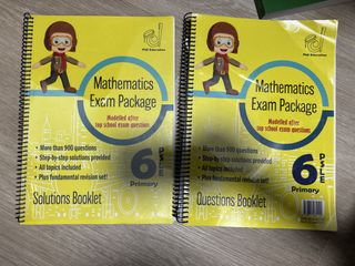 Problem-Solving Processes in Mathematics Primary 6 P6 Maths, Hobbies ...