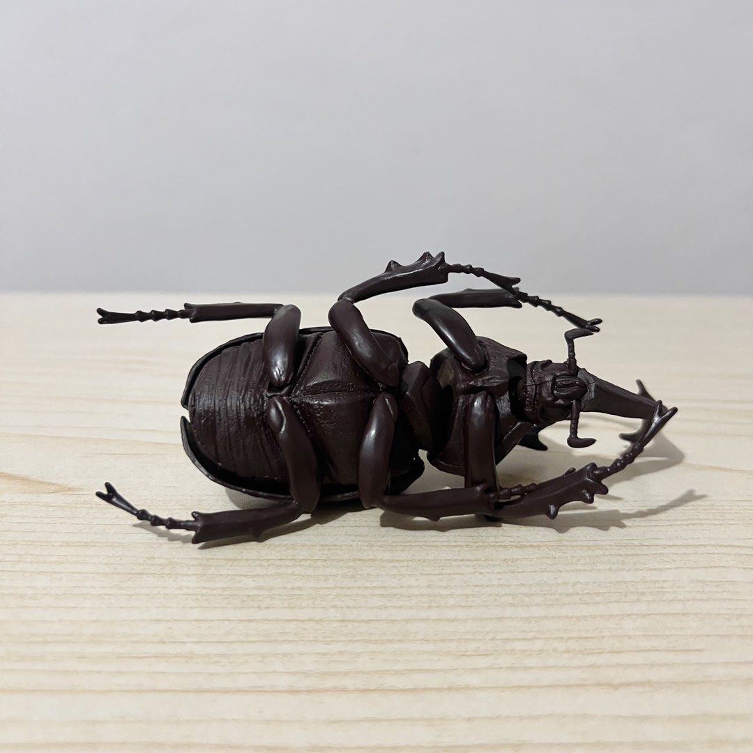 Rhinoceros Beetle Figure 12x3cm - Php 250 (Category: Character Goods) located in Davao. Submitted by pandorastoybox (Listing ID 1469927694, Image 3). Description: Rhinoceros Beetle Figure 12x3cm - Php 250.