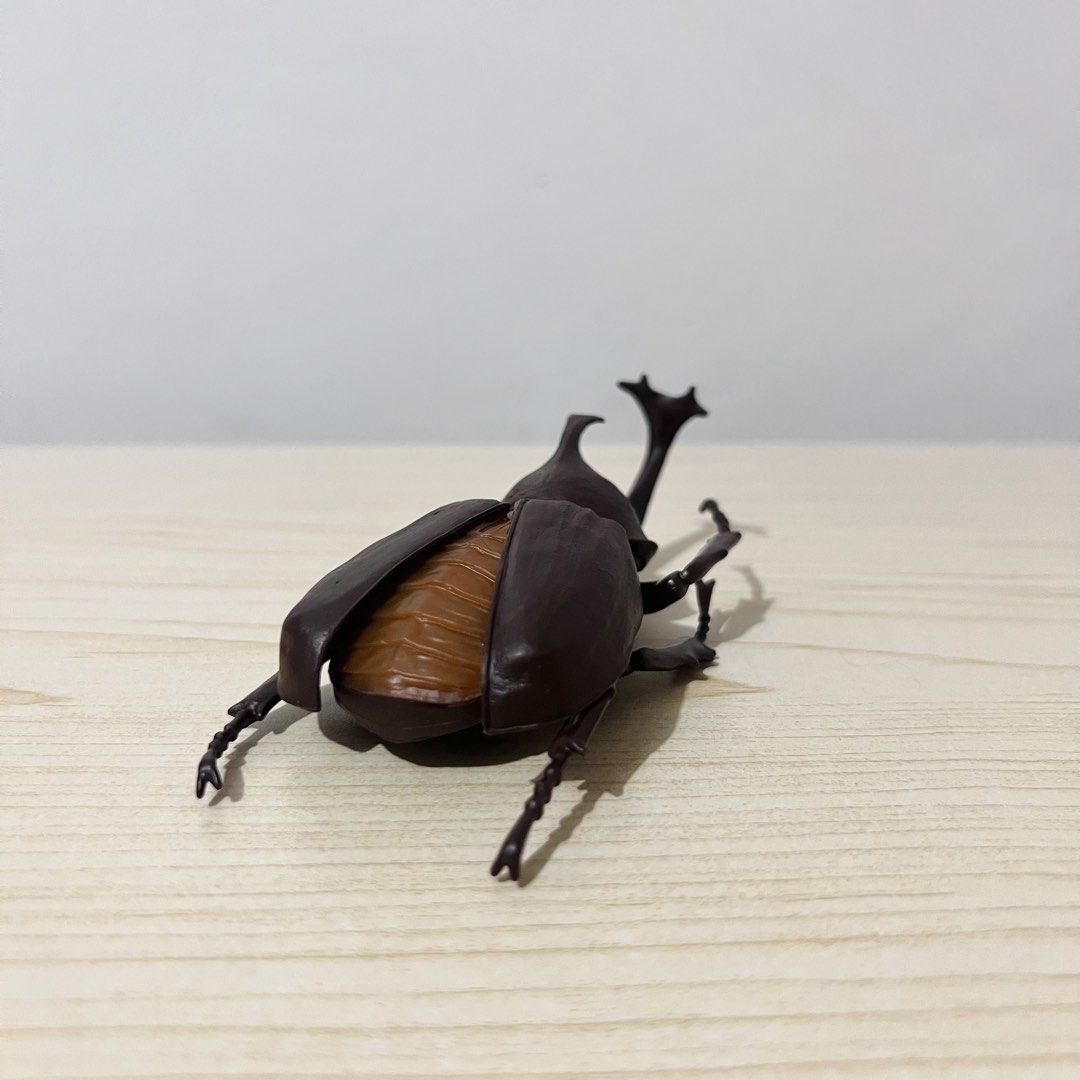 Rhinoceros Beetle Figure 12x3cm - Php 250 (Category: Character Goods) located in Davao. Submitted by pandorastoybox (Listing ID 1469927694, Image 2). Description: Rhinoceros Beetle Figure 12x3cm - Php 250.