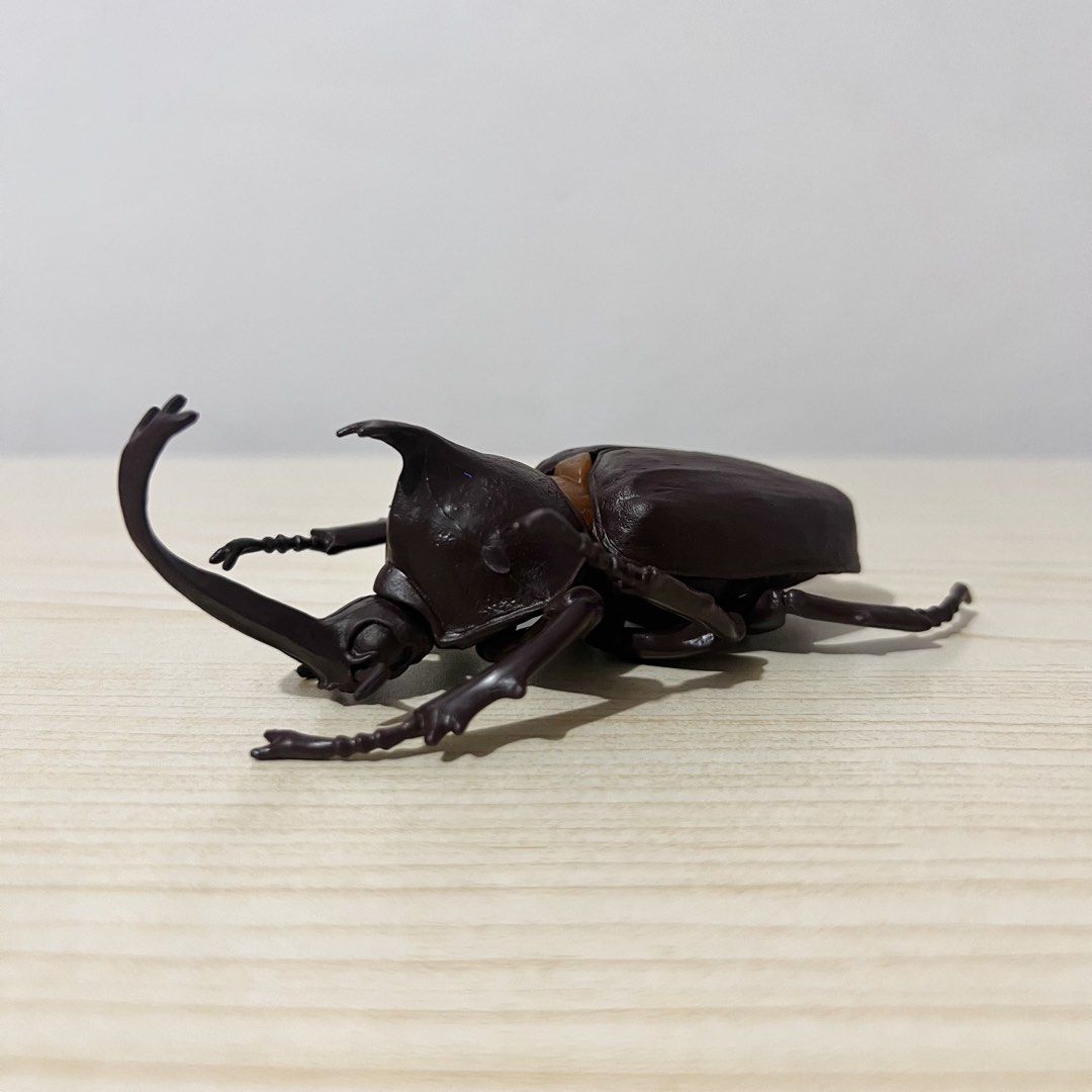 Rhinoceros Beetle Figure 12x3cm - Php 250 (Category: Character Goods) located in Davao. Submitted by pandorastoybox (Listing ID 1469927694, Image 1). Description: Rhinoceros Beetle Figure 12x3cm - Php 250.