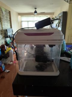 Tank, light, filter, pipe etc., Sports Equipment, Fishing on Carousell