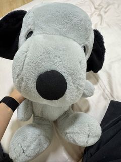(Category: ) located in . Submitted by ddfansclub (Listing ID 1469904292, Image 1). Description: .