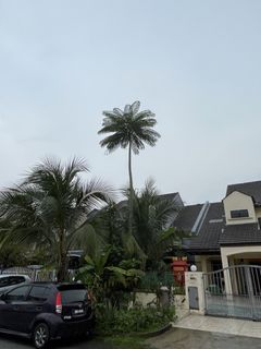 (Category: ) located in . Submitted by Ahmad90 (Listing ID 1469864515, Image 1). Description: .