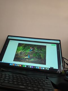 (Category: ) located in . Submitted by prem-kumar (Listing ID 1469817756, Image 1). Description: .