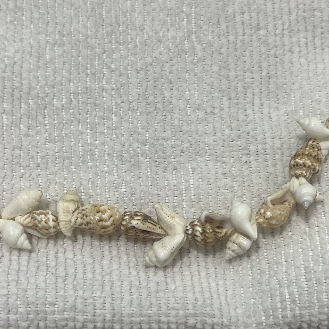 Women's Sea Shell Necklace (Category: Necklaces) located in Quezon City. Submitted by jpsstore (Listing ID 1469857104, Image 3). Description: MOP: Gcash SHIPPING: J&t | Lalamove.