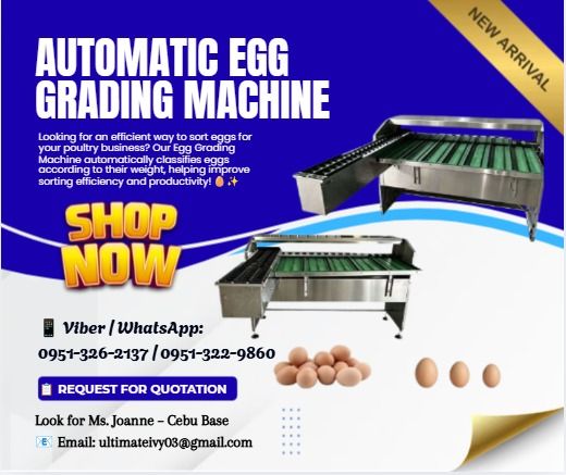 🥚⚙️ AUTOMATIC EGG GRADING MACHINE FOR SALE! 🐣🏭 (Category: Everything Else Others) located in Caloocan City. Submitted by vedadacian34812 (Listing ID 1469948543, Image 1). Description: Looking for an efficient way to sort eggs for your poultry business? Our Egg Grading Machine automatically classifies eggs according to their weight, helping improve sorting efficiency and productivity! 🥚✨ Perfect for poultry farms, egg distributors, and commerc