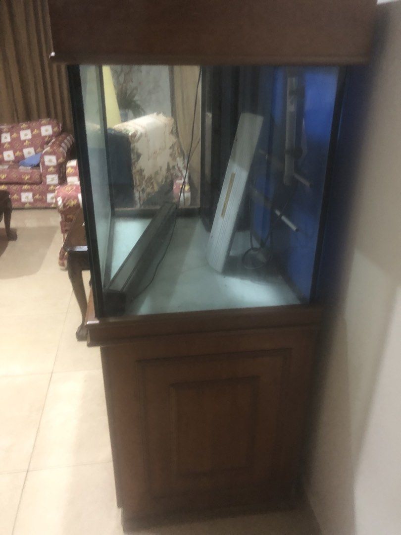 Aquarium, Everything Else, Others on Carousell