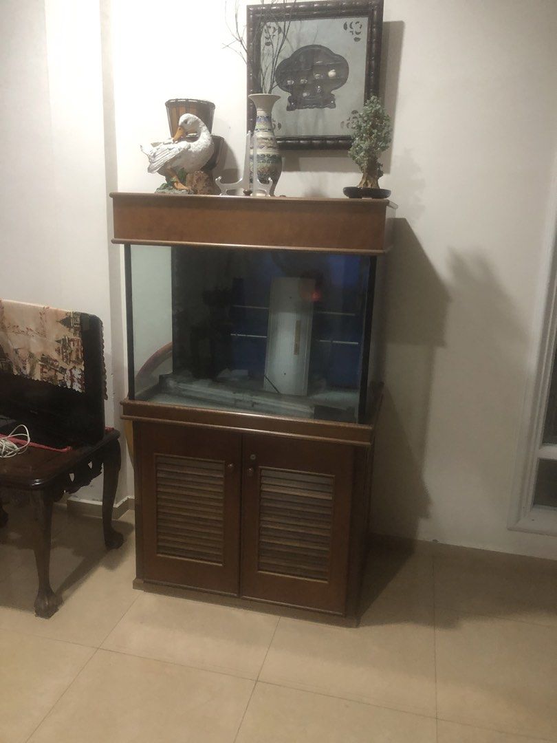 Aquarium, Everything Else, Others on Carousell