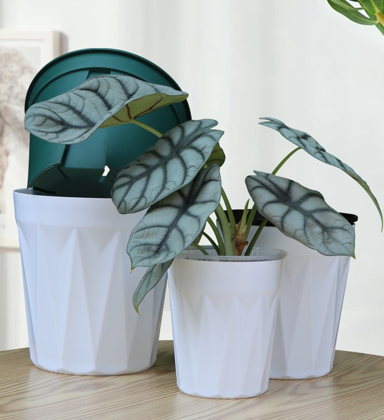 Aroid Pots Orchid Pots Dual Pots, Furniture & Home Living, Gardening ...