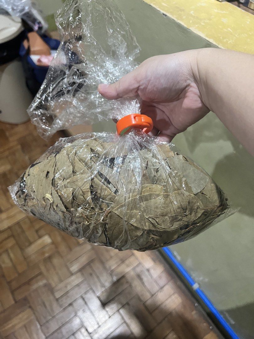 Bayleaf (Category: Spice & Seasoning) located in Paranaque City. Submitted by arianem031087 (Listing ID 1470082562, Image 3). Description: .