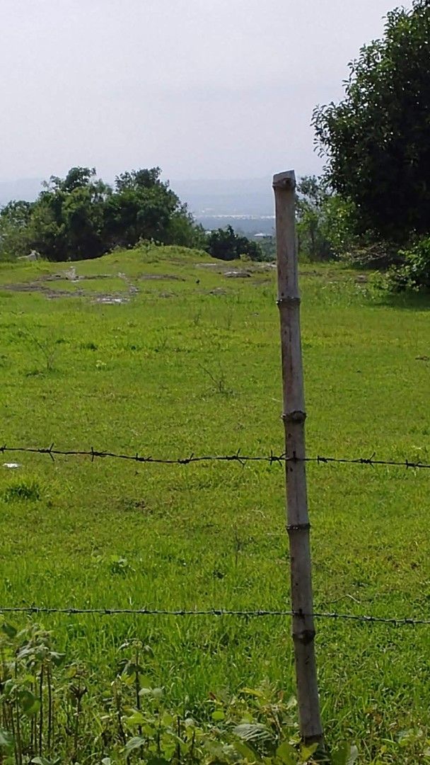 Beach view lot in Pangasinan (Category: Lot) located in Quezon City. Submitted by bybelaching (Listing ID 1469982418, Image 2). Description: Beach view lot Subdivided Clean titled Price: 1800 per sqm Available cuts 1000sqm Open for cash. And installment basis Cash price 1800 per sqm Installment price 2000 per sqm 30% cash advance 2years to pay,,monthly payment 8kms away to tambobong beach white sand beach of dasol pangasinan tourist spot 7kms awa