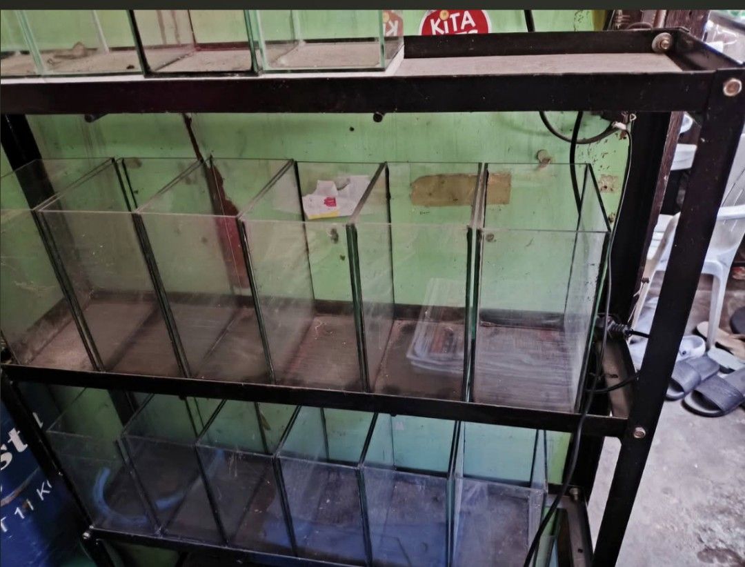Betta Tanks with Stand (Category: Homes & Other Pet Accessories) located in Paranaque City. Submitted by jeralynd14 (Listing ID 1470054375, Image 2). Description: - 4pcs 4x4x4 Betta tank - 12 pcs 4x6x8 Betta tank 3 layered. Stand (6pcs 4x6x8 per layer) Paranaque Area.