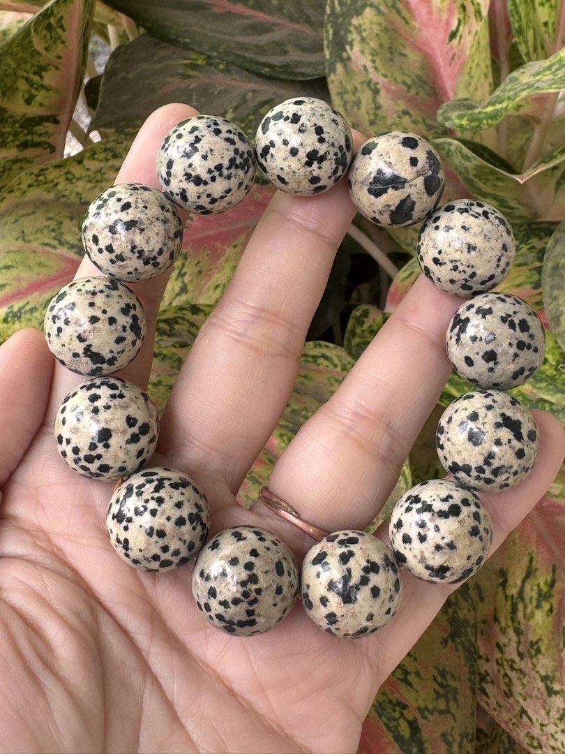 DALMATIAN AGATE BRACELET 🍒 B3_JC127 (Category: Precious Stones) located in Bulacan. Submitted by selling_low_by_bella_ben (Listing ID 1469977876, Image 1). Description: DALMATIAN AGATE 🍒 B3_JC127 🏷️ 980 - 19+mm 🏷️ 260 - 11+mm 17 cm wrists.