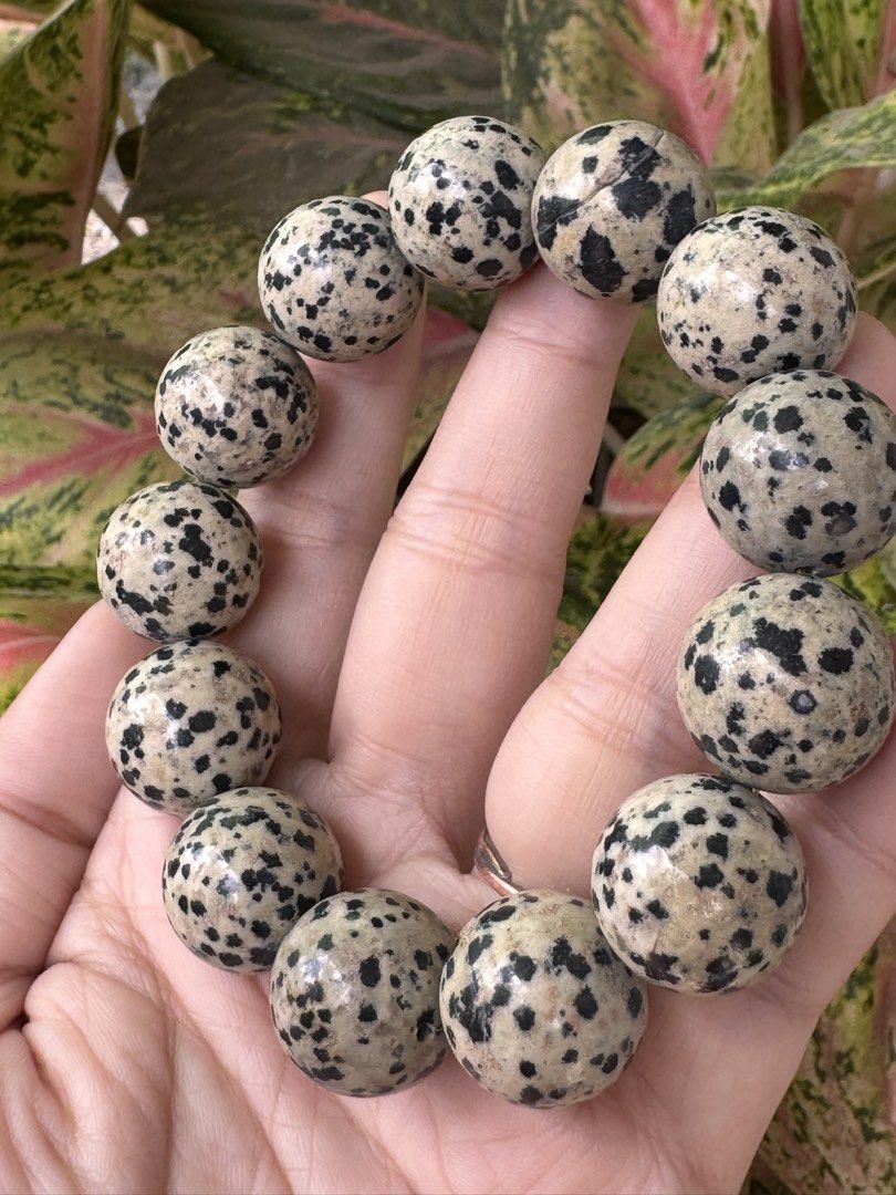 DALMATIAN AGATE BRACELET 🍒 B3_JC127 (Category: Precious Stones) located in Bulacan. Submitted by selling_low_by_bella_ben (Listing ID 1469977876, Image 3). Description: DALMATIAN AGATE 🍒 B3_JC127 🏷️ 980 - 19+mm 🏷️ 260 - 11+mm 17 cm wrists.