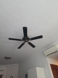 (Category: ) located in . Submitted by tobeornottobeee (Listing ID 1469954231, Image 1). Description: .