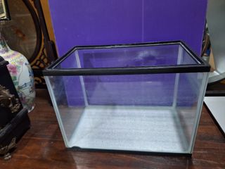 Betta Fish Plastic Packing Bags, Pet Supplies, Homes & Other Pet ...