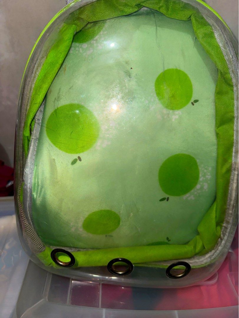 Green Apple Pattern Pet Carrier Backpack Bubble Capsule (Category: Backpacks) located in Mandaluyong City. Submitted by jeyviee (Listing ID 1470044099, Image 2). Description: - Adorable green pet backpack featuring a clear front bubble shell with an apple pattern - Well-ventilated with breathable mesh side pockets and bottom front grommets - Comfortable to wear with padded adjustable shoulder straps and a secure chest clip - Convenient top carry 