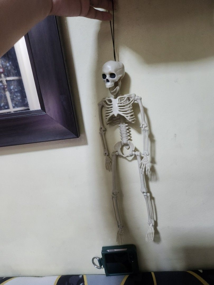 Hanging plastic skeleton Halloween decoration with string (Category: Occasions & Party Supplies) located in Pasig City. Submitted by js.authenticlux (Listing ID 1470114281, Image 2). Description: - Perfect for Halloween and spooky room decor - Features a black string attached to the skull for easy hanging - Full body model with movable limbs for custom poses - Lightweight design - Easy to store away after the holiday season *call txt 09178029682 
