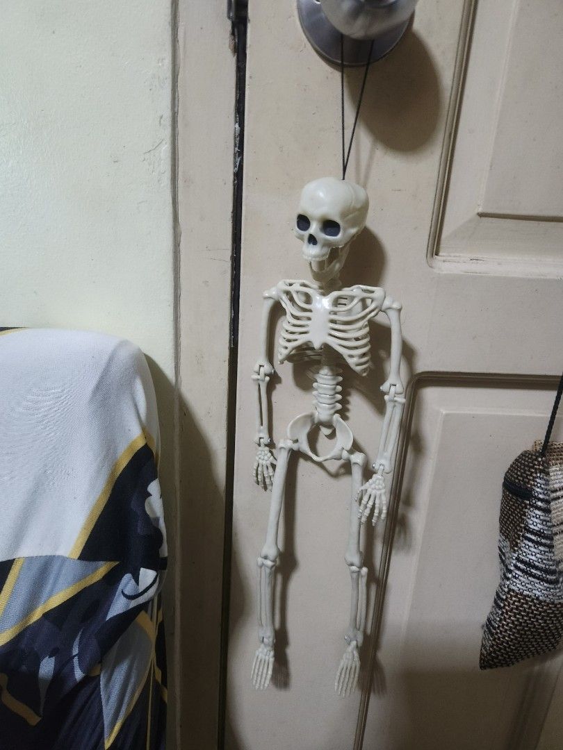 Hanging plastic skeleton Halloween decoration with string (Category: Occasions & Party Supplies) located in Pasig City. Submitted by js.authenticlux (Listing ID 1470114281, Image 3). Description: - Perfect for Halloween and spooky room decor - Features a black string attached to the skull for easy hanging - Full body model with movable limbs for custom poses - Lightweight design - Easy to store away after the holiday season *call txt 09178029682 