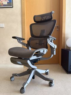 Hinomi Q2 Ergonomic Chair, Furniture & Home Living, Furniture, Chairs ...