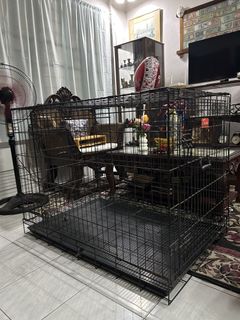 (Category: ) located in . Submitted by ms.eniarol (Listing ID 1469957482, Image 1). Description: .