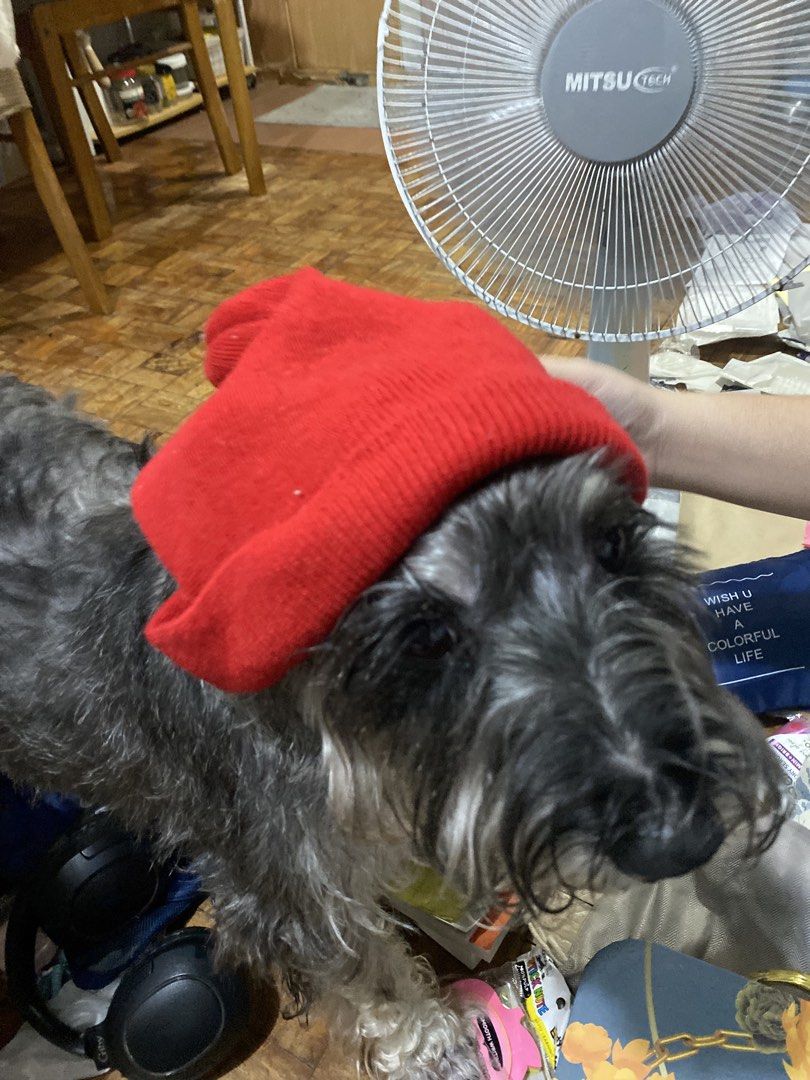 Red Winter Beanie Hat Knit Cap (Category: Hats & Beanies) located in Manila. Submitted by solonglondon (Listing ID 1470058960, Image 2). Description: - Color: Bright red - Material: Soft ribbed fabric, stretchy for a comfortable fit - Style: Classic slouchy design - Features: Keeps your head warm during chilly weather - Condition: Clean and ready to wear.