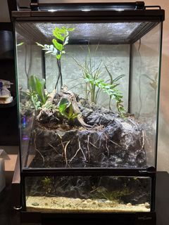 MIUS Terrarium Tank for Reptiles, Pet Supplies, Homes & Other Pet ...