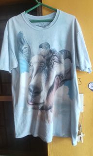 (Category: ) located in . Submitted by daveniftyfinds (Listing ID 1470060183, Image 1). Description: .