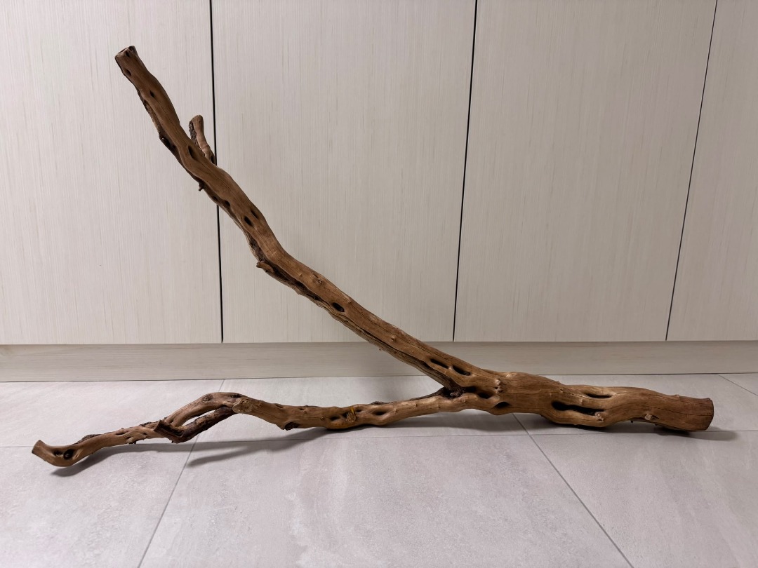 XL Aquarium Driftwood Fish Tank Arowana Discus Stingray Altum Pleco ...