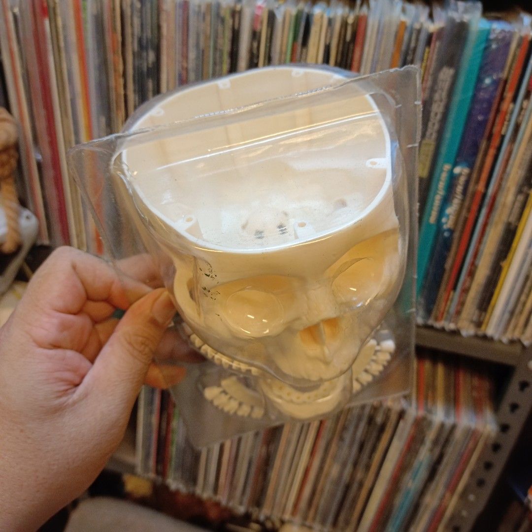 Anatomical Human Skull Model with Removable Teeth Sets, Toys ...